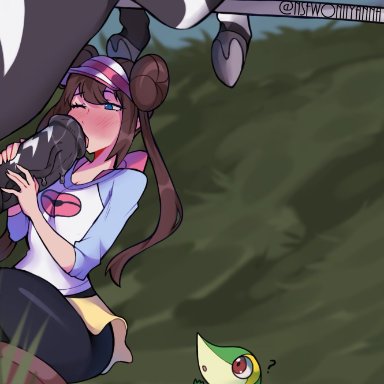 1girls, 2pokemon, blue eyes, blush, brown hair, double bun, grass, horse, horse penis, horsecock, huge cock, human, interspecies, large penis, nintendo