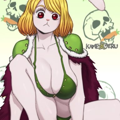 beast pirates, bunny, bunny ears, bunny girl, carrot (one piece), fur, lingerie, one piece, tagme