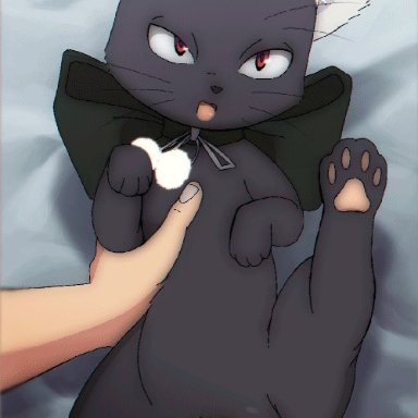 animated, bedding, bedding background, black body, black fur, domestic cat, duo, felid, feline, felis, female, female focus, female on human, female penetrated, feral