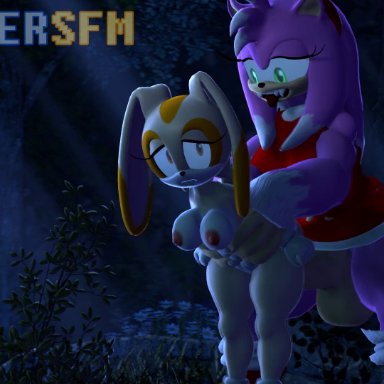 1futa, 1girls, 3d (artwork), abdominal bulge, aged up, amy rose, amy rose the werehog, amy the werehog, animated, anthro, big breasts, big dom small sub, big penis, breasts, clothing