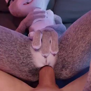 1boy, 1boy1girl, 1girl, anal sex, animated, chrno, furry, grabbing own breast, judy hopps, light-skinned male, looking at viewer, moaning, moaning in pleasure, penetration, pov