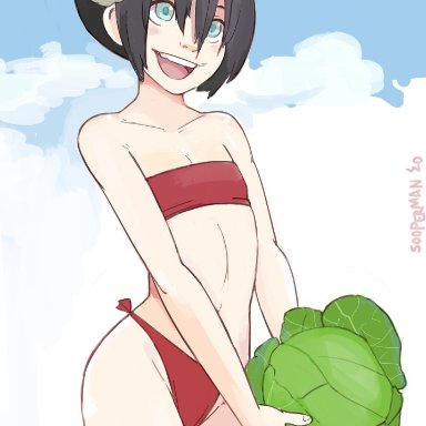 1girls, avatar the last airbender, bare shoulders, beach, bikini, bikini bottom, black hair, blind, blush, cabbage, clouds, cowboy shot, cute, earth kingdom, female