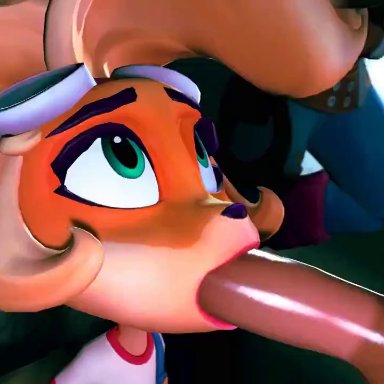 1boy, 1girls, 3d, animated, big penis, blowjob, coco bandicoot, crash (series), crash bandicoot 4: it's about time, deepthroat, female, grabbing hair, human on anthro, light-skinned male, long penis