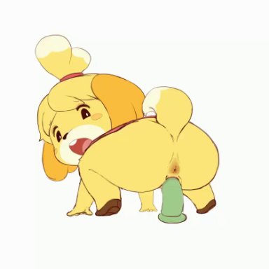 1girls, all fours, animal crossing, animated, anthro, anus, ass, big ass, big butt, black eyes, black nose, bottomless, butt, canid, canine