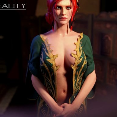 animated, blowjob, breasts, desire reality, fellatio, female, light-skinned female, light-skinned male, light skin, pov, red hair, sound, the witcher (series), the witcher 3: wild hunt, triss merigold