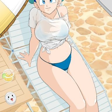 bikini, blue hair, bulma briefs, caisama, dragon ball, dragon ball z, looking at viewer, pool, see-through top, swimsuit