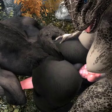 1boy, 1futa, anal, anal penetration, anal sex, argonian, ass, ass jiggle, bethesda softworks, big ass, big penis, black fur, breasts, canine penis, doggy style