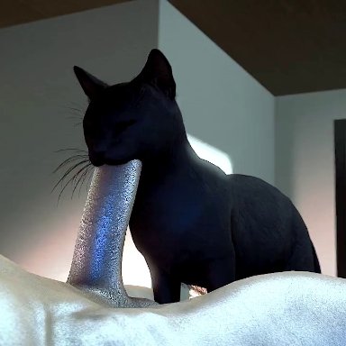 3d, animated, anthro, beastiality, bestiality, big ass, big balls, big butt, big dom small sub, big penis, blowjob, cat, domestic cat, feline, fellatio