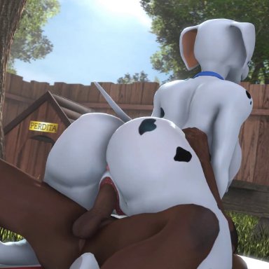 3d, animated, anthro, anthro on human, anus, ass, balls, billynr, black fur, breasts, canid, canine, cowgirl position, dalmatian, dark-skinned male