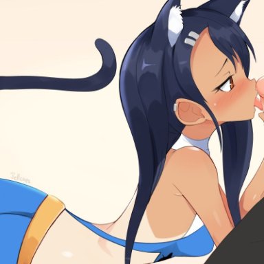 1boy, 1girls, buttplug tail, cat ears, cat tail, cheerleader, cheerleader uniform, fellatio, female, hayase nagatoro, jellcaps, naoto hachioji (senpai), oral, penis, please don't bully me, nagatoro