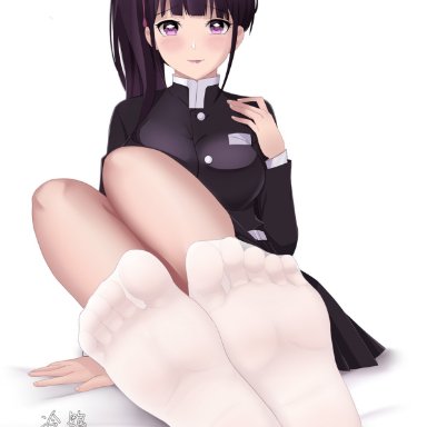 bangs, black hair, blush, butterfly hair ornament, demon slayer, feet, female, female only, foot fetish, foot focus, fully clothed, kimetsu no yaiba, long hair, looking at viewer, ponytail