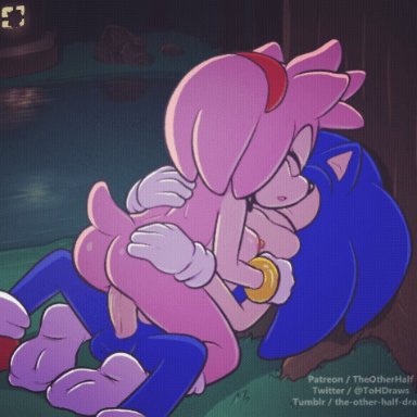 amy rose, animated, furry, pink fur, pink hair, sonic (series), sonic the hedgehog, the other half, vaginal penetration