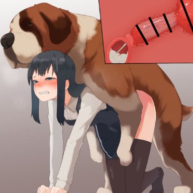 kantai collection, asashio (kantai collection), tsurugi (the horizon), tsurugi muda, all fours, black hair, blush, canine, canine penis, cross section, cum, cum in pussy, cum in uterus, doggy style, dress