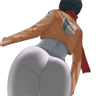 attack on titan, shingeki no kyojin, mikasa ackerman, hell904, 1girls, anus, asian, ass, ass focus, big ass, big butt, black hair, butt, dat ass, female