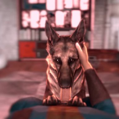 bethesda softworks, fallout, dogmeat, rookieanimator210, ambiguous gender, ambiguous penetrated, bestiality, canid, canine, canis, domestic dog, erection, fellatio, fellatio from feral, feral