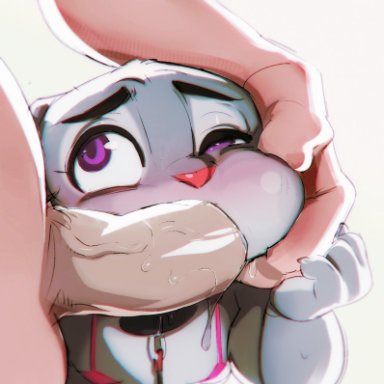 disney, zootopia, judy hopps, doxy, anthro, anthro on human, anthro penetrated, big penis, blush, bodily fluids, bra, cheek bulge, claws, clothing, collar