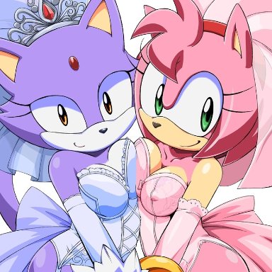 sonic the hedgehog (series), amy rose, blaze the cat, tojyo, 2girls, anthro, asymmetrical docking, big breasts, breast press, breasts, bridal veil, cleavage, corset, domestic cat, erect nipples