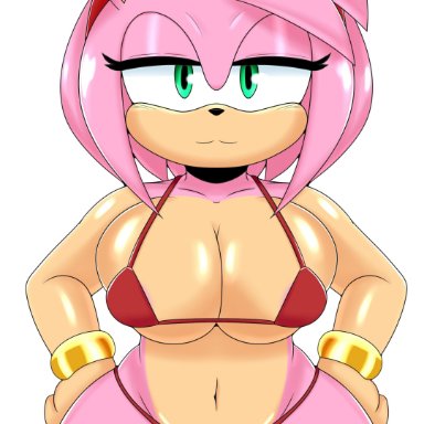 sonic (series), amy rose, big ass, big breasts, bikini, female, furry, pink fur, pink hair, solo, thunder thighs