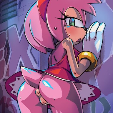 sonic (series), amy rose, tojyo, alley, bottomless, no panties, pink fur, pink hair, sweat