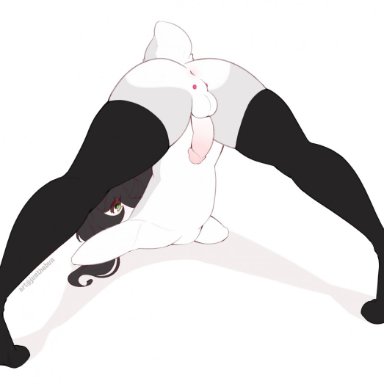 junthebun, anthro, anus, ass, balls, black clothing, black hair, black legwear, clothing, femboy, fur, genitals, girly, green eyes, grey body