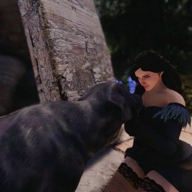 the witcher (series), yennefer, shinewind, animal genitalia, canine, dog, vaginal penetration, zoophilia, 3d, animated, sound, video