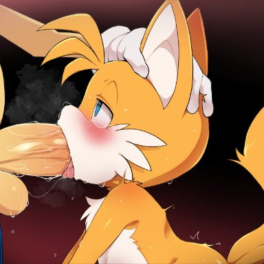 sega, sonic (series), sonic the hedgehog (series), sonic the hedgehog, tails, dagasi, 2boys, animal ears, anthro, anthro on anthro, anthro only, balls, bedroom eyes, black nose, blowjob