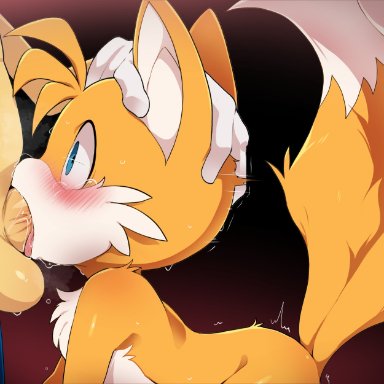 sega, sonic (series), sonic the hedgehog (series), sonic the hedgehog, tails, dagasi, 2boys, animal ears, anthro, anthro on anthro, anthro only, balls, black nose, blowjob, blue body