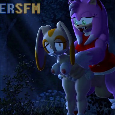 sega, sonic (series), amy rose, amy rose the werehog, cream the rabbit, countersfm, 1futa, 1girls, abdominal bulge, abuse, age difference, anal, anal penetration, anal sex, anthro