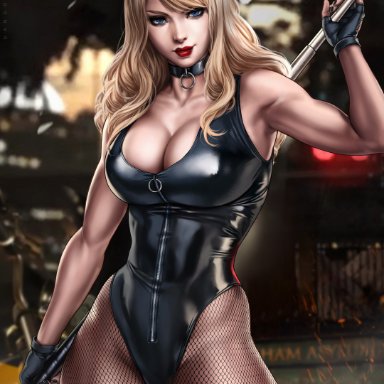 dc, dc comics, green arrow (series), injustice 2, black canary, dinah lance, dandon fuga, 1girls, abs, bare arms, bare shoulders, bare skin, baton, big breasts, black clothing