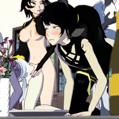 rwby, blake belladonna, kali belladonna, weiss schnee, winter schnee, sfmslayer, 2futas, 2girls, all fours, anal, animal ears, big ass, black hair, blue eyes, breasts