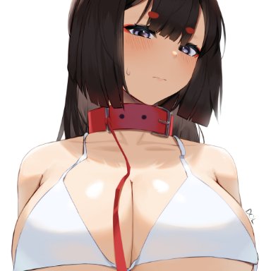 azur lane, amagi (azur lane), lordol, animal ear fluff, animal ears, arms under breasts, belt collar, bikini, blush, breast hold, breasts, brown hair, cleavage, closed mouth, collar