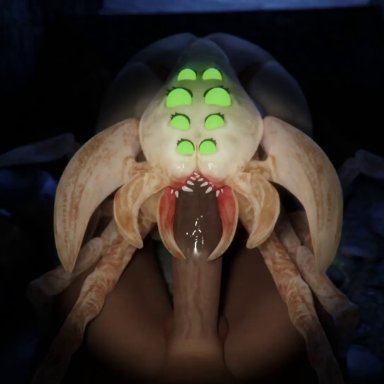 mrlolzies101, arachnid, arthropod, bestiality, blowjob, bodily fluids, duo, erection, fellatio, fellatio from feral, fellatio pov, female, feral, feral penetrated, first person view