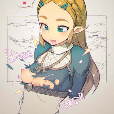 breath of the wild, nintendo, the legend of zelda, princess zelda, zelda (breath of the wild), mg no29, namaniku atk, !, blonde hair, braid, breasts, female, forehead, green eyes, looking down