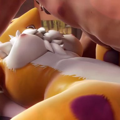 bandai namco, digimon, renamon, furromantic, 1boy, 1boy1girl, 1girls, anthro, areola, bouncing breasts, breasts, canid, canine, canis, duo