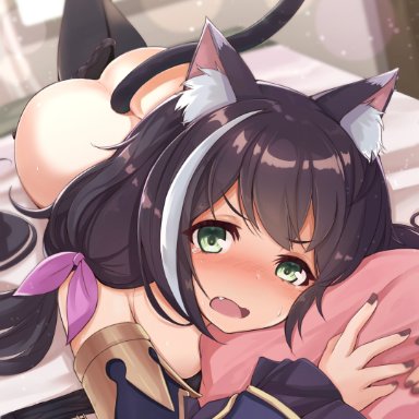 princess connect! re:dive, kyaru (princess connect), j young, 1girls, animal ears, black hair, female only, green eyes, looking at viewer, lying, prone position, tail, underwear around one leg, window