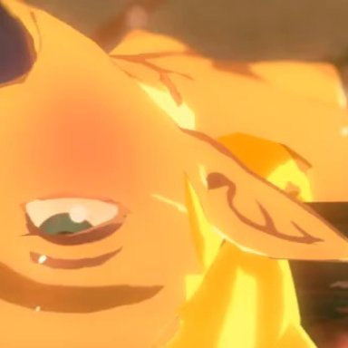 breath of the wild, legend of zelda, princess zelda, zelda (breath of the wild), sable serviette, bukkake, cowgirl position, fellatio, upside-down, vaginal penetration, 3d, animated, long video, low res, lowres