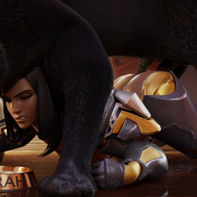 blizzard entertainment, overwatch, pharah, gifdoozer, all fours, black hair, clenched fists, clenched teeth, cum bowl, dark-skinned female, dog bowl, female, feral on female, feral penetrating, gloves