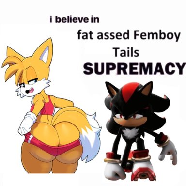 sonic (series), sonic the hedgehog (series), shadow the hedgehog, tails, ultimateshadow, big ass, big butt, eyes half open, femboy, funny, humor, pulling down pants, english text, meme, text