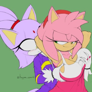 sega, sonic (series), amy rose, blaze the cat, kappa spark, 2girls, anthro, big breasts, breast envy, breast grab, breasts, huge breasts, smug, yuri, tagme