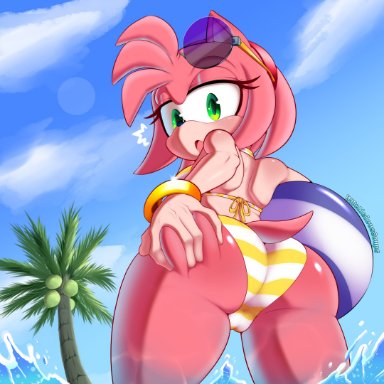 sonic (series), amy rose, delicioussoup, 1girls, anthro, ass, big ass, big breasts, big butt, bikini, breasts, butt, eyebrows, eyewear on head, female