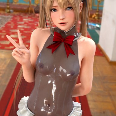 dead or alive, dead or alive 5, marie rose, blonde hair, breasts, long hair, looking at viewer, nipples, see-through clothing, small breasts, standing, twintails, v, 3d