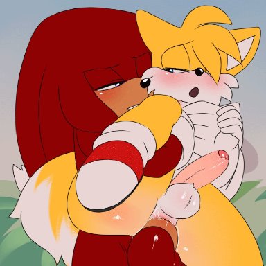sonic (series), knuckles the echidna, tails, krazyelf, 2boys, anal, anal sex, balls, big ass, blush, femboy, furry, half-closed eyes, male, male/male