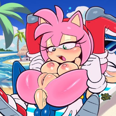 sega, sonic the hedgehog (series), amy rose, sonic the hedgehog, uhmsprs, anal, anal sex, anthro, anthro on anthro, anthro penetrated, anthro penetrating, anthro penetrating anthro, anus, beach, eulipotyphlan