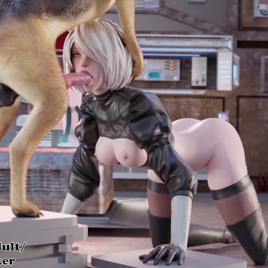 nier: automata, yorha 2b, callmehaymaker, bestiality, dog, face fucking, feral on female, thrusting into mouth, zoophilia, animated, blender, sound, tagme, video