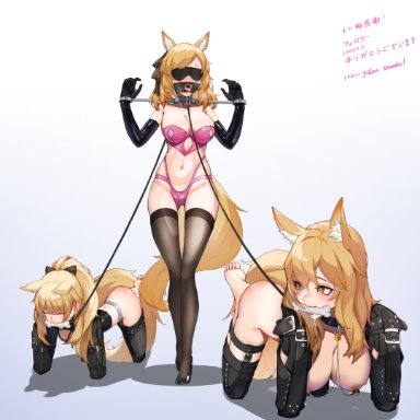 arknights, blemishine (arknights), nearl (arknights), whislash (arknights), wewlife, 3girls, animal ears, areolae, bangs, bdsm, bit gag, bitchsuit, black gloves, blindfold, blonde hair