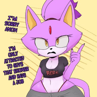 sonic (series), sonic the hedgehog (series), blaze the cat, berkthejerk, big ass, breasts, feline, fully clothed, gem, insulting viewer, pants, shirt, tail, thighs, wide hips