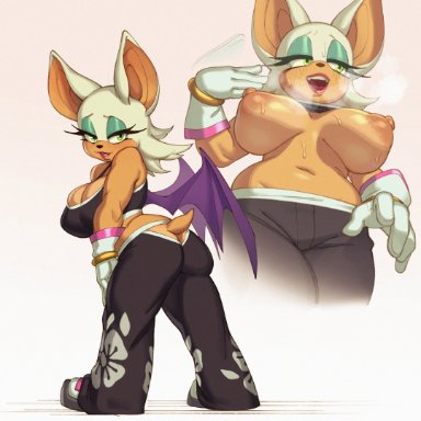 sega, sonic (series), sonic riders, rouge the bat, rizdraws, 1girls, anthro, bat ears, bat girl, bat wings, breasts, erect nipples, female, female only, furry