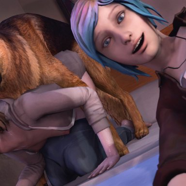life is strange, chloe price, max caulfield, arnoldthehero, 1boy, 2girls, blue hair, brown hair, canine, female, male, phone view, short hair, small breasts, vaginal penetration