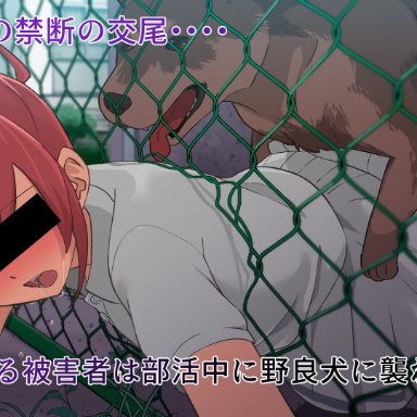 original, buta otoko, 1boy, 1girls, all fours, bangs, blue ribbon, blush, canine, chain-link fence, day, doggy style, drooling, eyebrows visible through hair, female