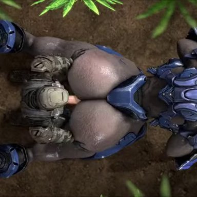 halo (series), microsoft, xbox game studios, female sangheili, sangheili, cheap-wazoo, 3d animation, alien, all fours, ambiguous penetration, armor, bent over, big butt, bouncing butt, butt